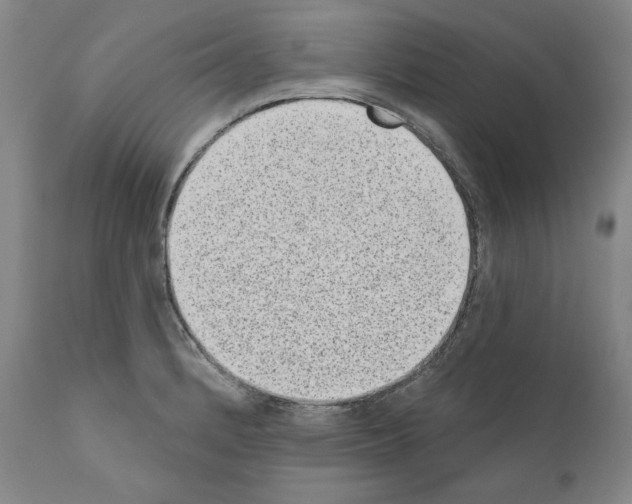 X0000110961184200907311059