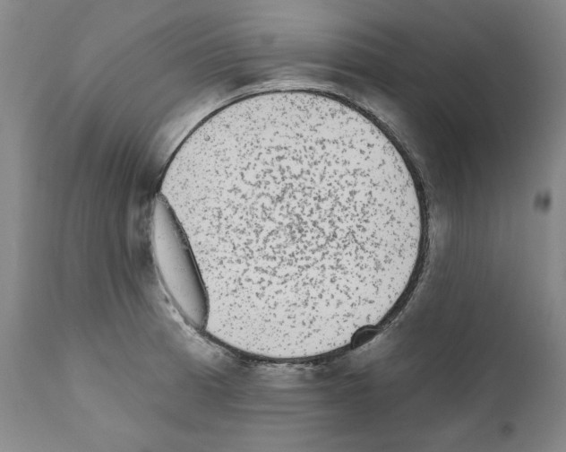 X0000110961185200907311059