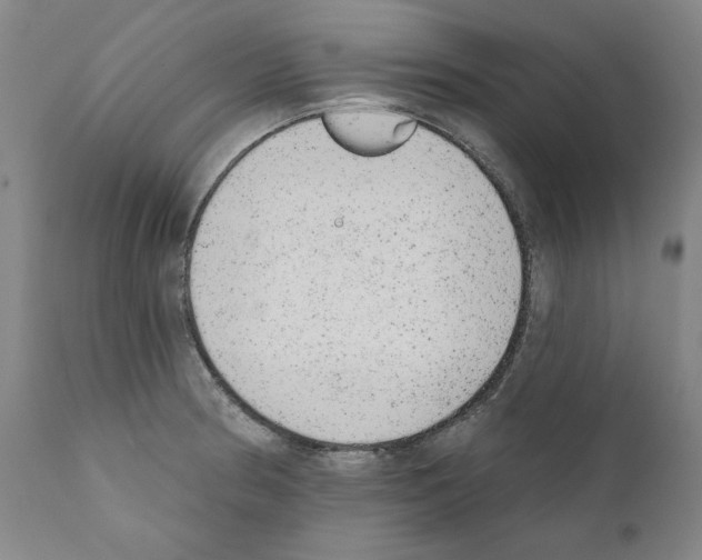 X0000110961186200907311059