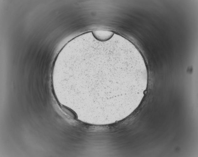 X0000110961187200907311059