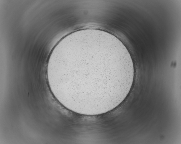 X0000110961190200907311059