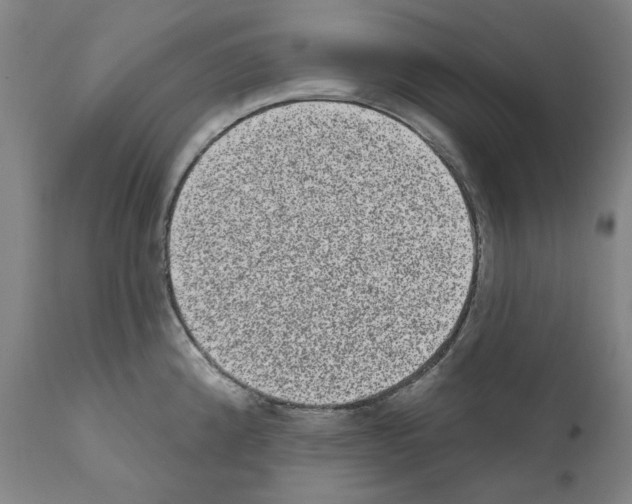 X0000110961192200907311059