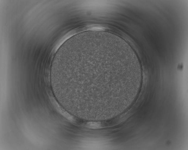 X0000110961194200907311059