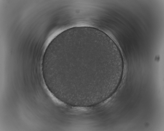 X0000110961197200907311059