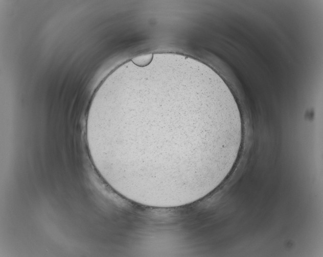 X0000110961198200907311059