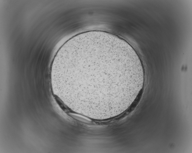 X0000110961200200907311059