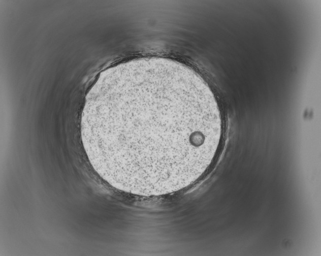 X0000110961201200907311058