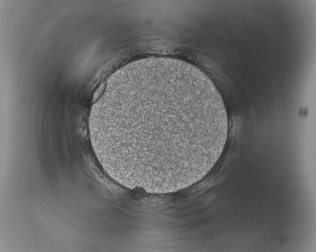 X0000110961202200907311058