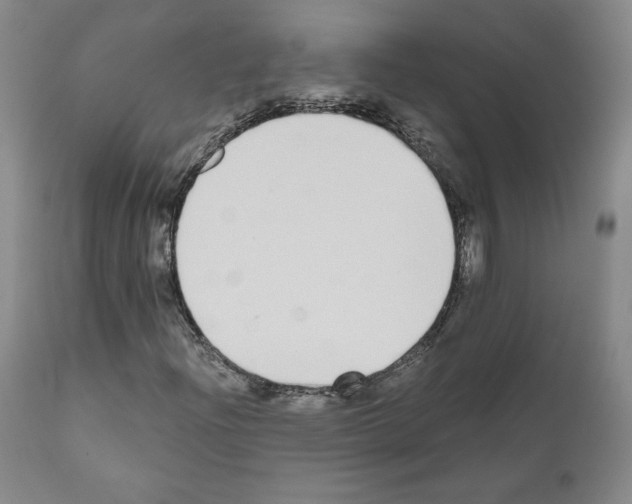 X0000110961204200907311058