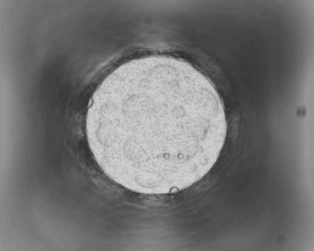 X0000110961205200907311058
