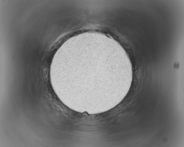 X0000110961206200907311058