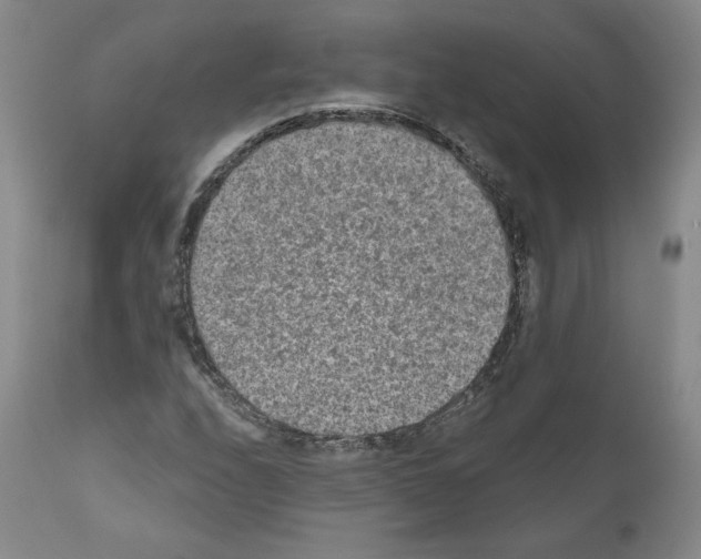 X0000110961208200907311058