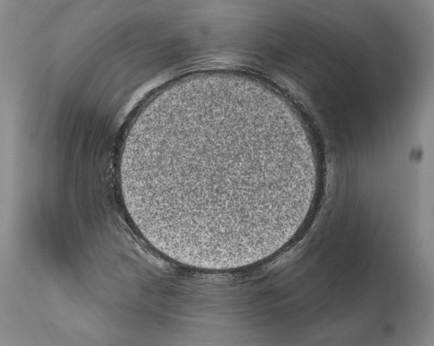 X0000110961210200907311058