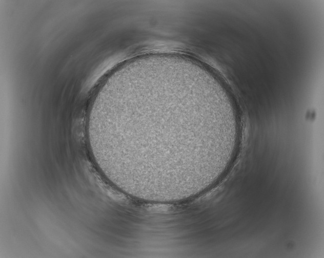 X0000110961211200907311058