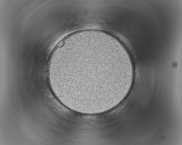 X0000110961212200907311058