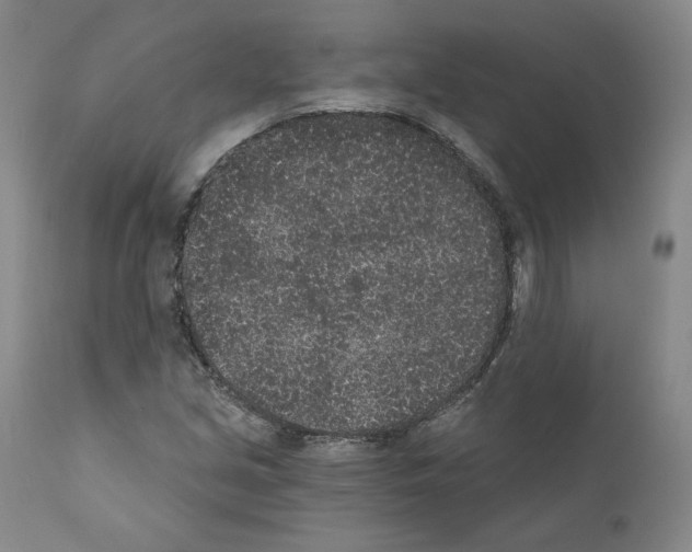 X0000110961213200907311058