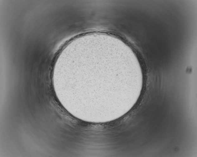 X0000110961214200907311058