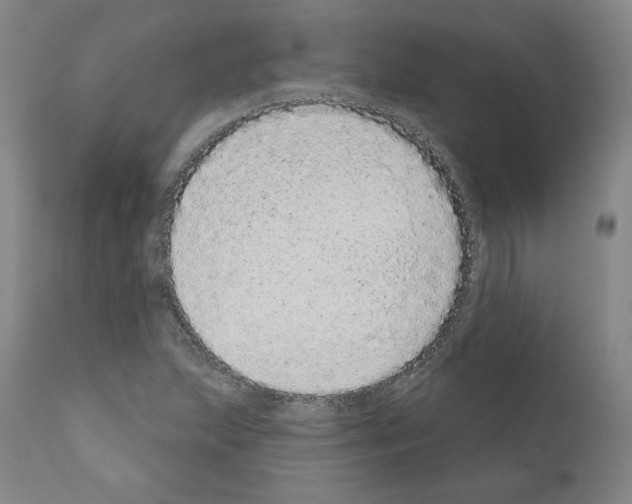 X0000110961215200907311058