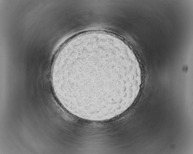 X0000110961216200907311058