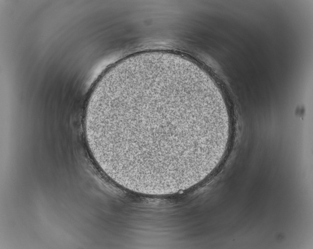 X0000110961218200907311058