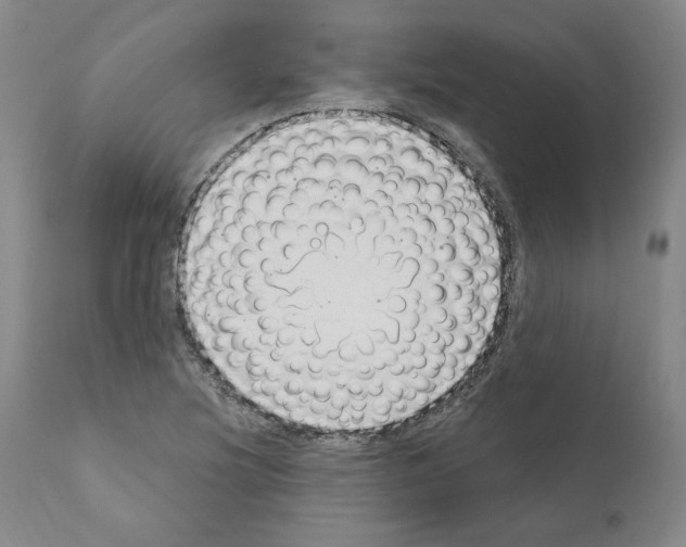 X0000110961220200907311058