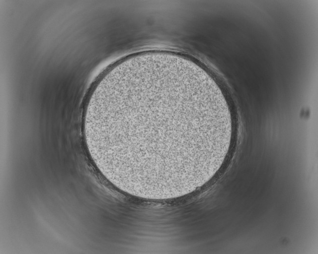 X0000110961222200907311058