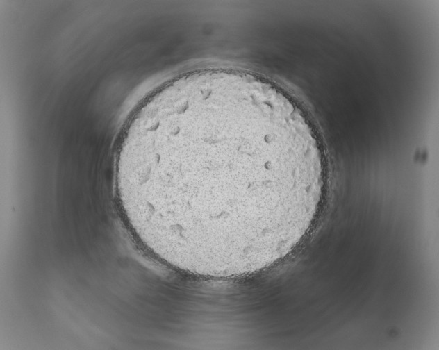 X0000110961223200907311058