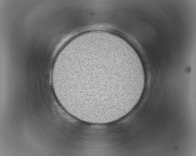 X0000110961224200907311058