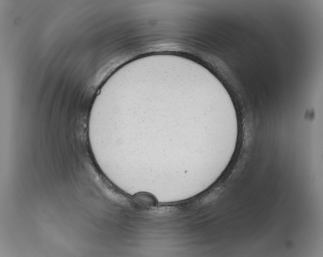 X0000110961225200907311058