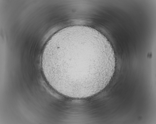 X0000110961227200907311058