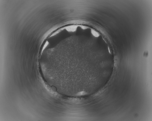 X0000110961229200907311058