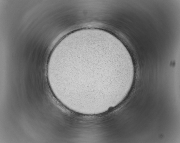 X0000110961232200907311058