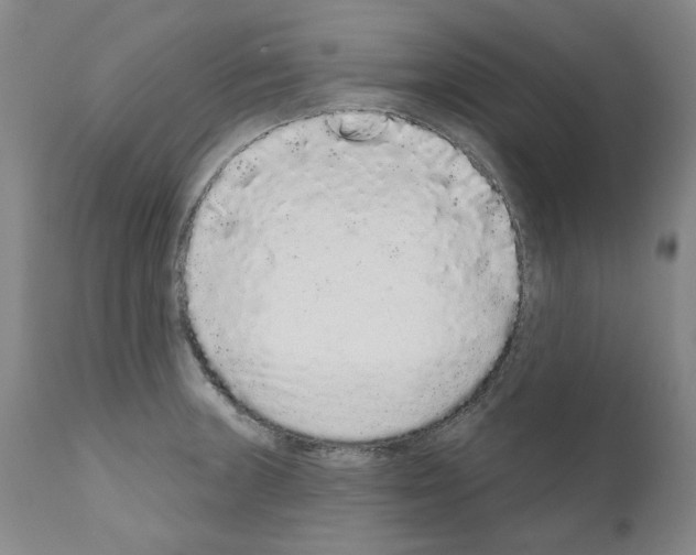X0000110961235200907311058