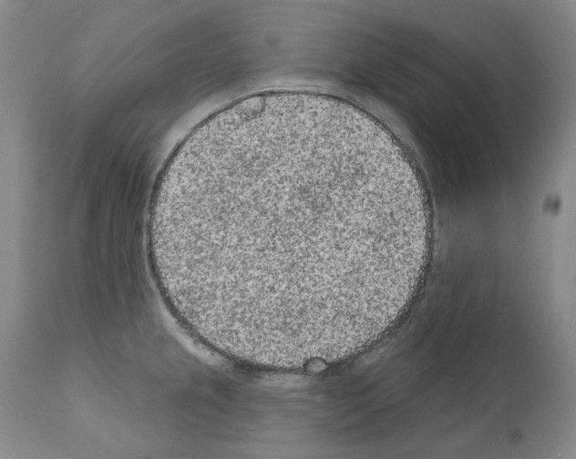 X0000110961237200907311058