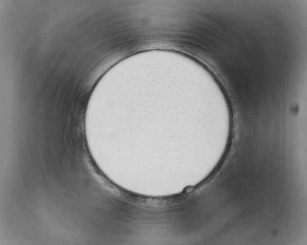 X0000110961241200907311058