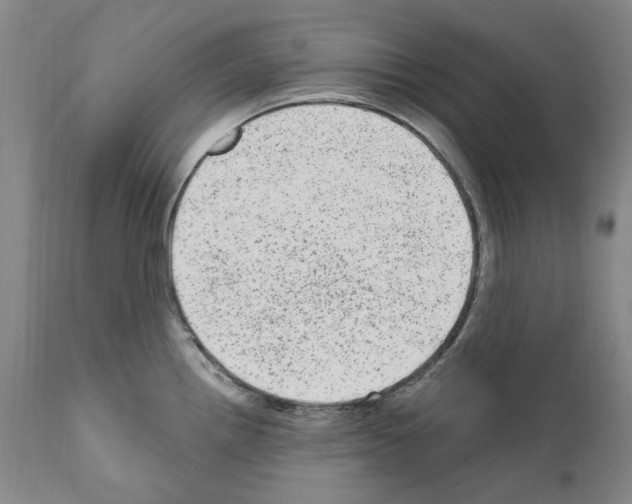 X0000110961242200907311058