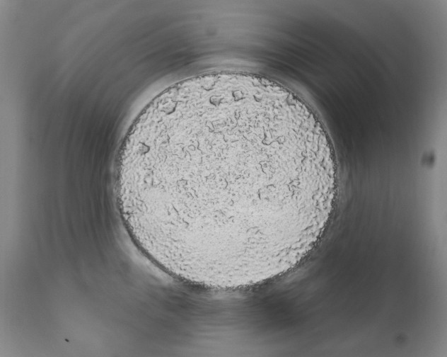 X0000110961243200907311058