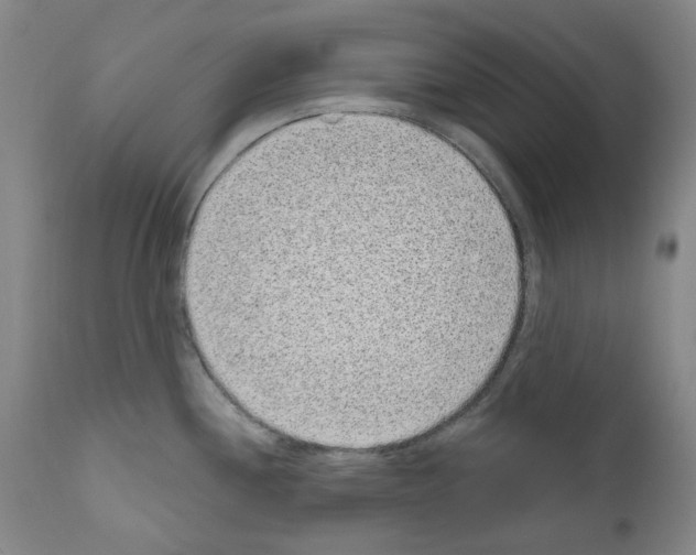 X0000110961244200907311058