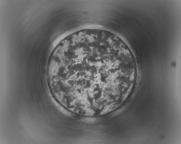 X0000110961245200907311058