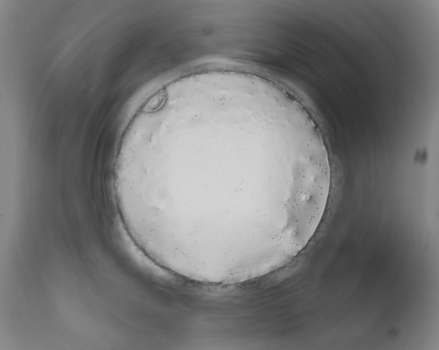 X0000110961247200907311059