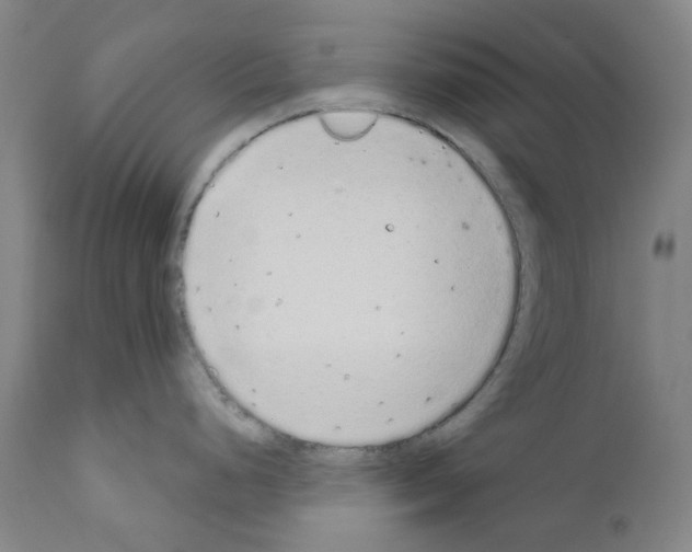 X0000110961248200907311059