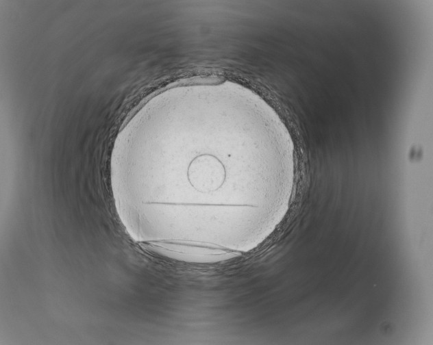 X0000110961249200907311058