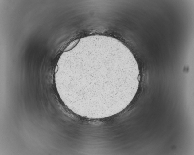 X0000110961250200907311058