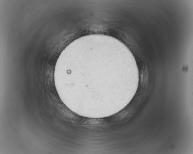 X0000110961251200907311058
