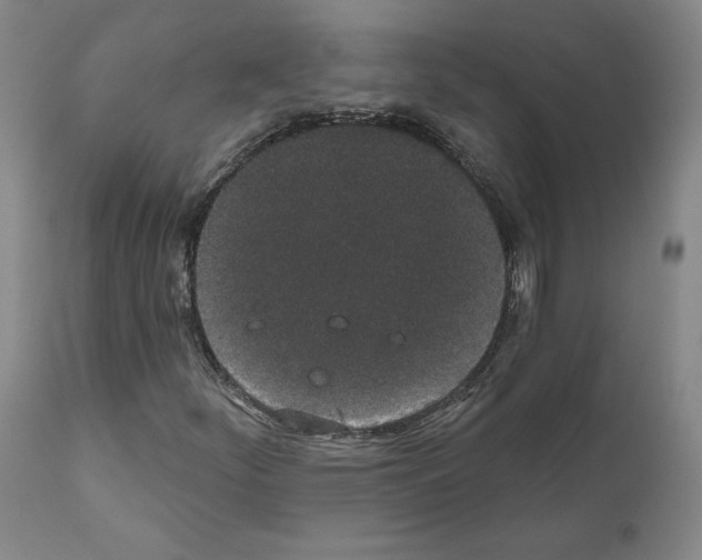 X0000110961252200907311058
