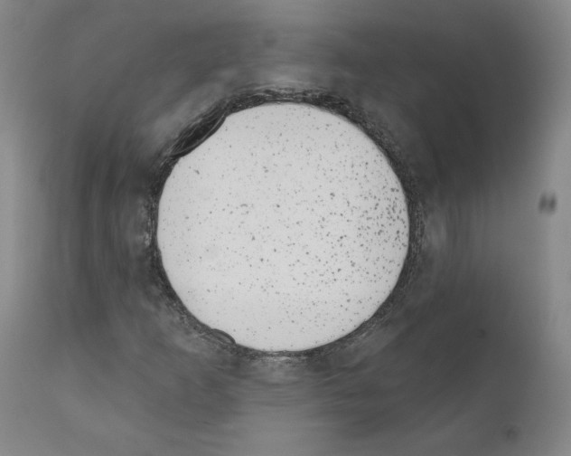 X0000110961253200907311058