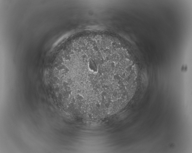 X0000110961254200907311058