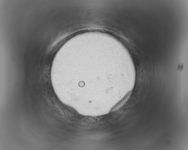 X0000110961255200907311058