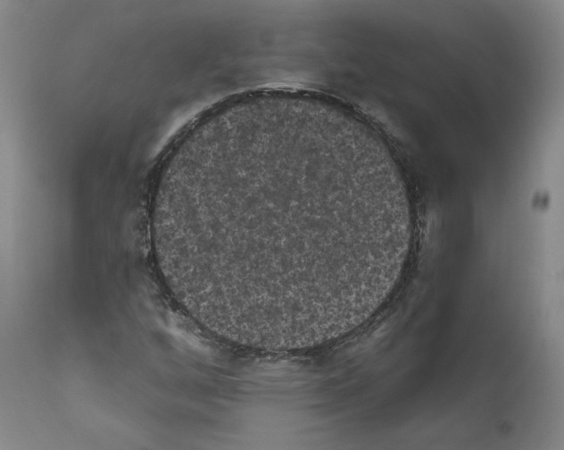 X0000110961256200907311058