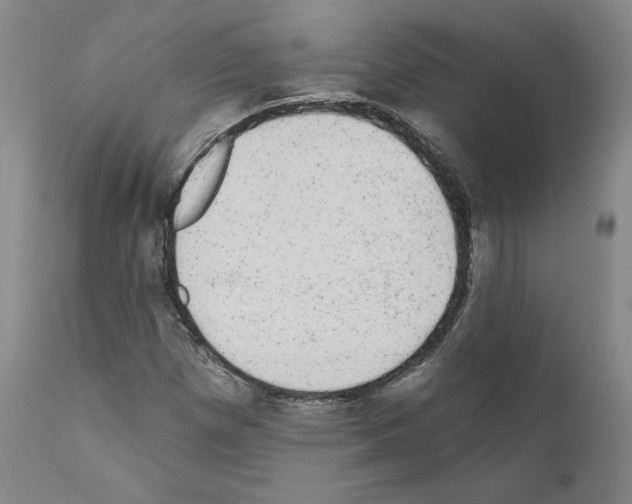 X0000110961257200907311058